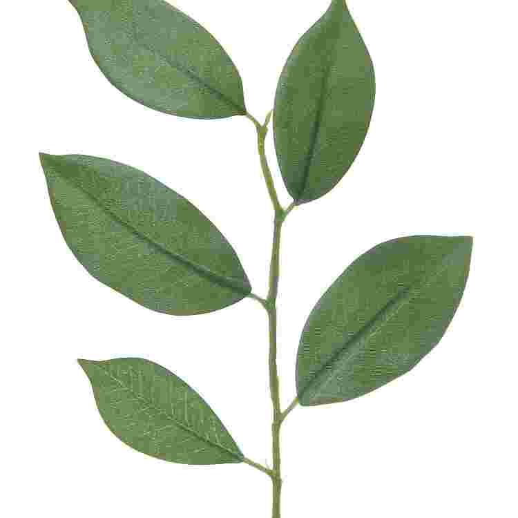 Appelblad l34cm groen