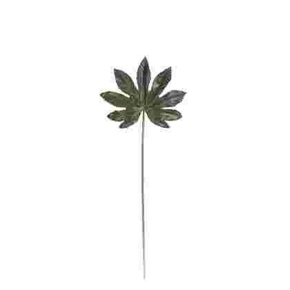Aralia leaf verde 