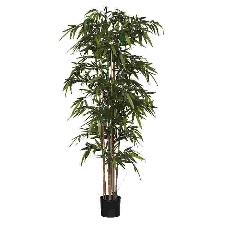 Bamboo Verde en plastico maceta  Poliester