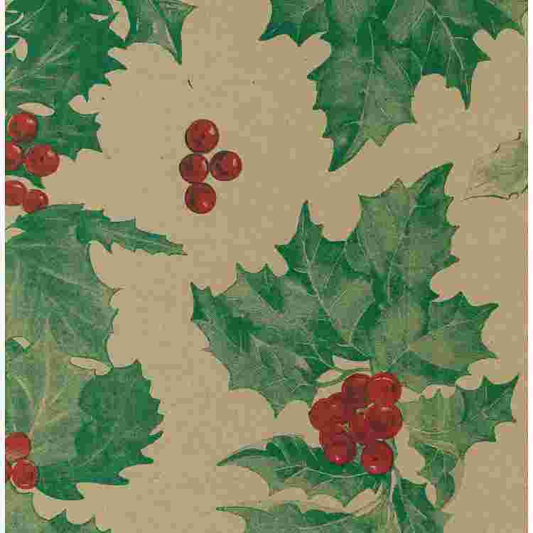 Bobina papel ecologico acebo 62cm.*100m.