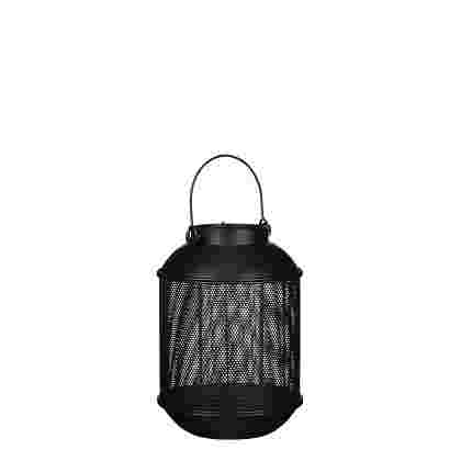 Borneo farol negro 