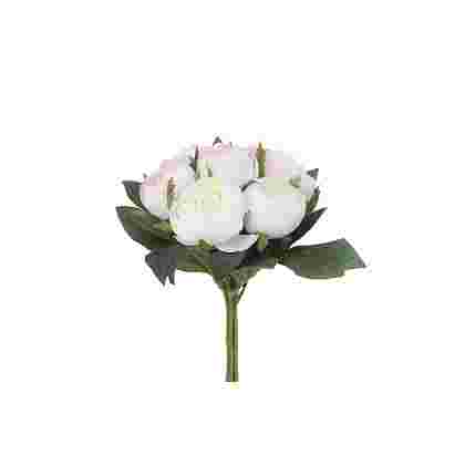 Bouquet peonia crema 