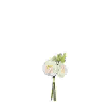 Bouquet peonia crema 
