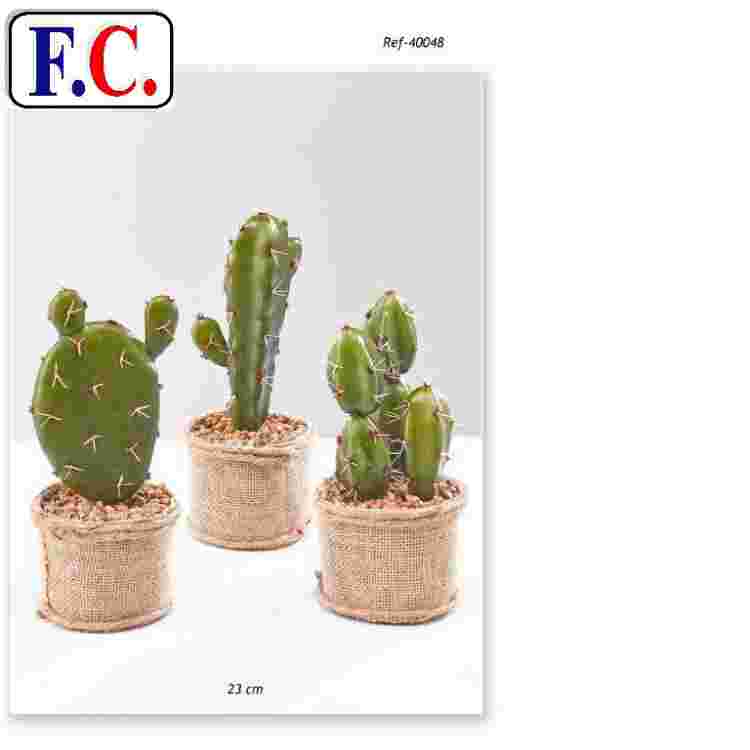 Cactus maceta saco 23 cm.