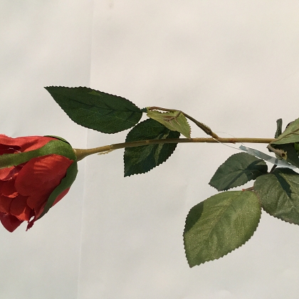 CAPULLO 42 CM    ROJO 