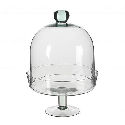 Deny cover Transparente Cristal