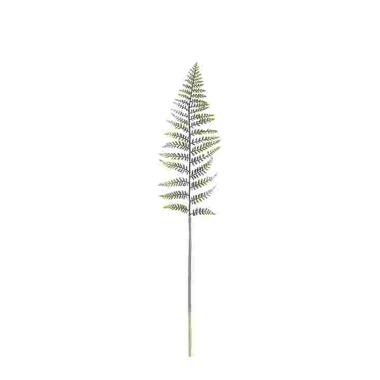 Fern leaf verde 