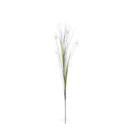 Grass blanco 