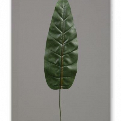 Hoja 67 cm x 34.5 cm.