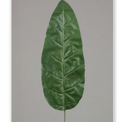 Hoja 79 cm. x 44 cm.