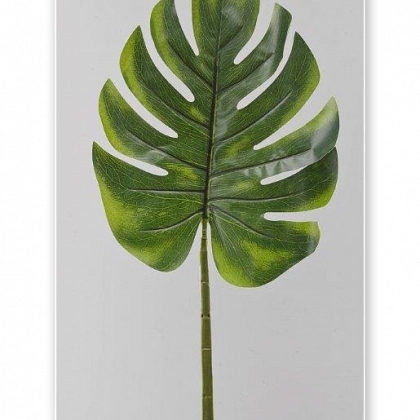 Hoja monstera 74 cm.