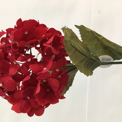 HORTENSIA 0,75 CM HYDRAGEA ROJO
