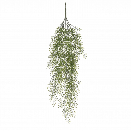 Jasmine colgar verde 