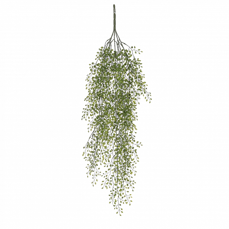 Jasmine colgar verde 