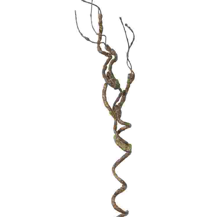 Krultak l50cm bruin