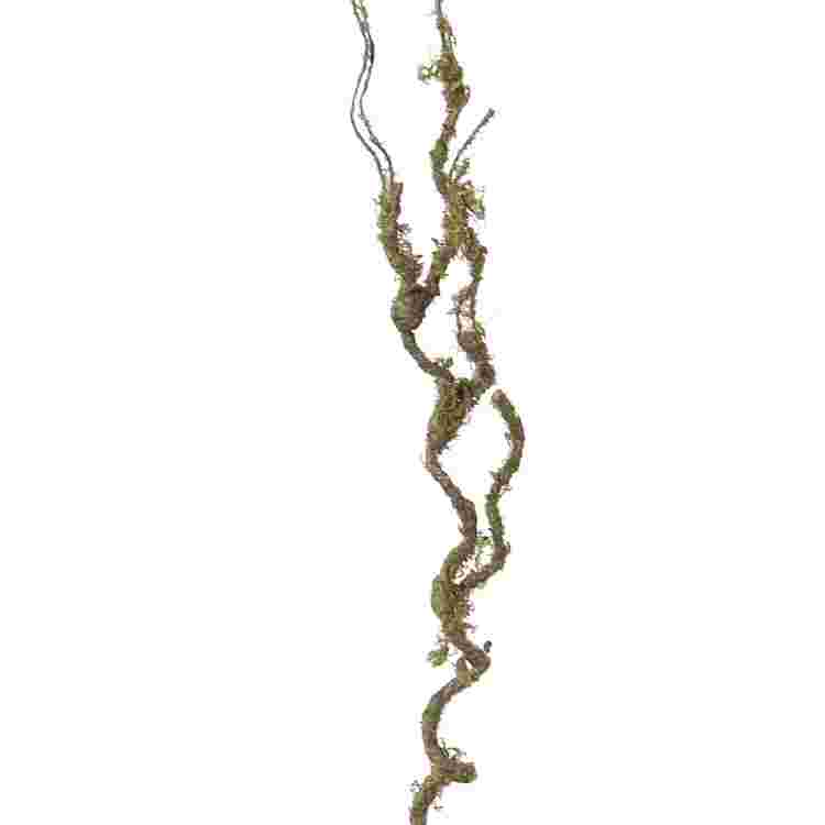 Krultak mos l60cm groen