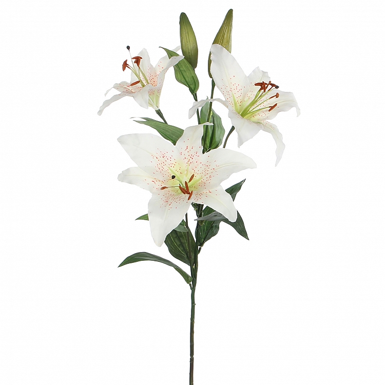 Lily stargazer Crema  Poliester