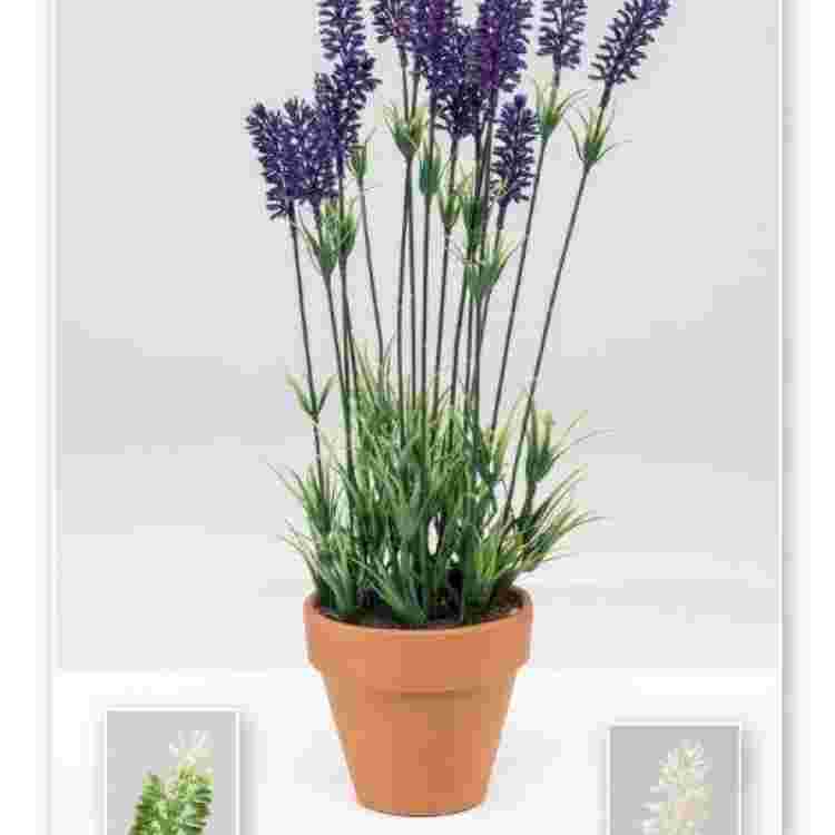 Maceta lavanda plastico 42 cm.