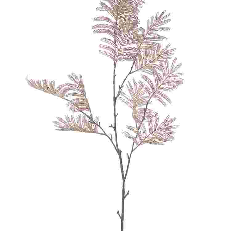 Mimosablad l125cm licht bruin