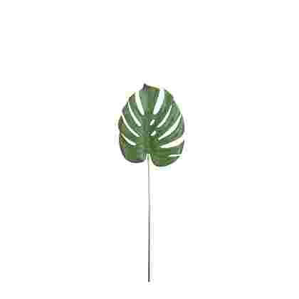 Monstera leaf verde 