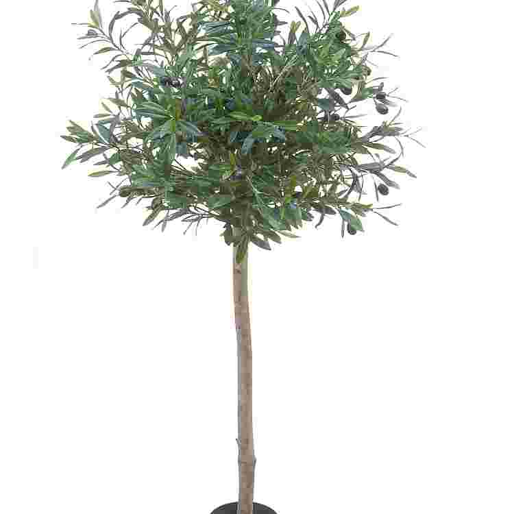 Olijfboom topiary h120cm p groen