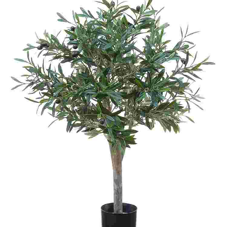 Olijfboom topiary h80cm p groen