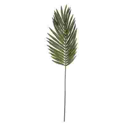 Palm leaf verde 