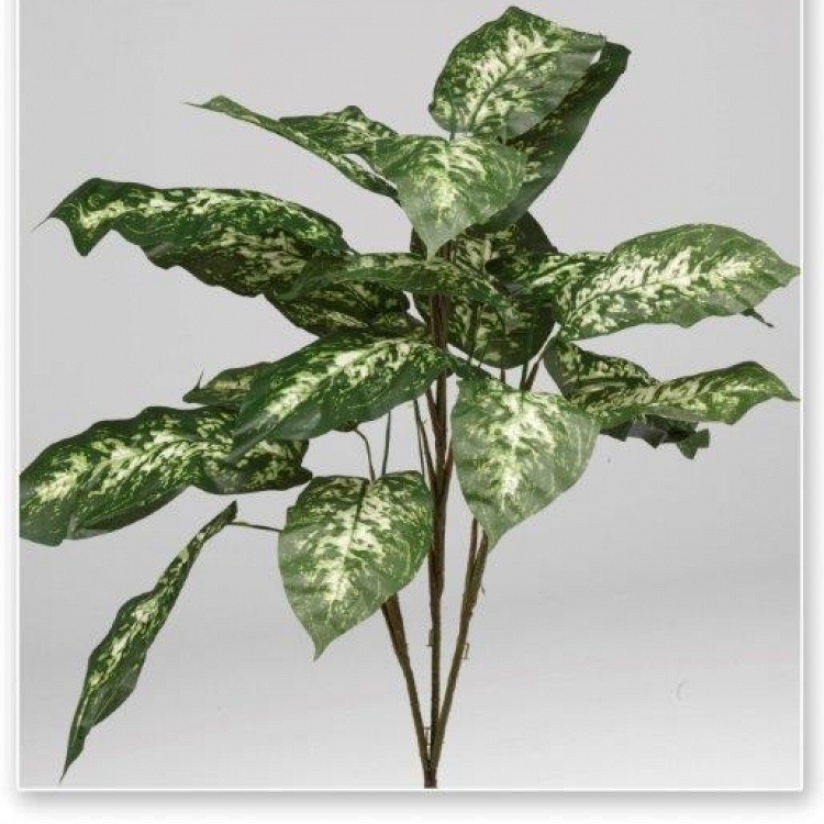 Planta diffenbachia x 3 90 cm.