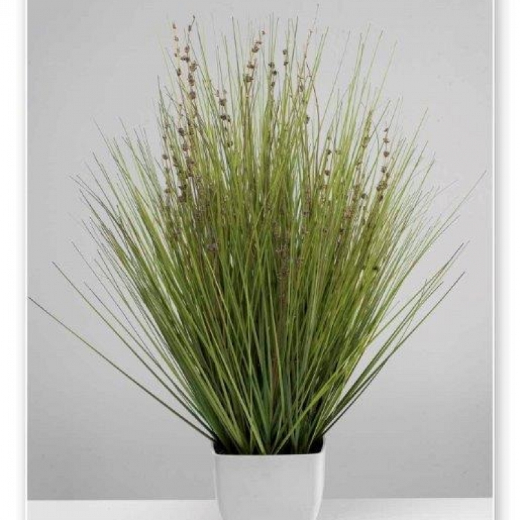 Planta lavanda en maceta 61 cm.