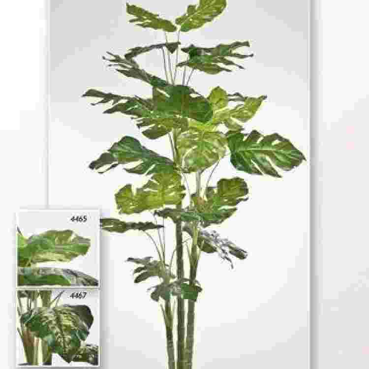 Planta pothos con maceta 1.20 m