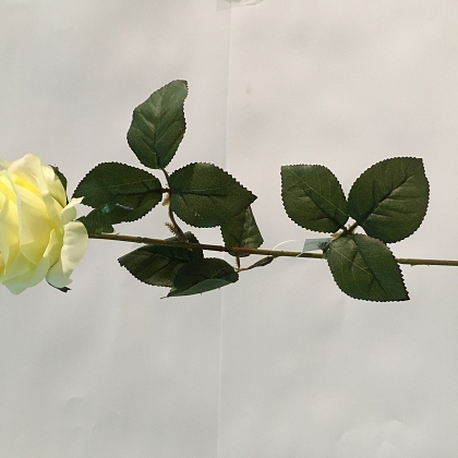 ROSA 66CM  AMARILLO