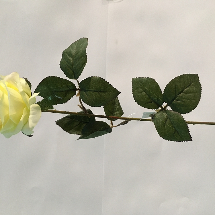ROSA 66CM  AMARILLO