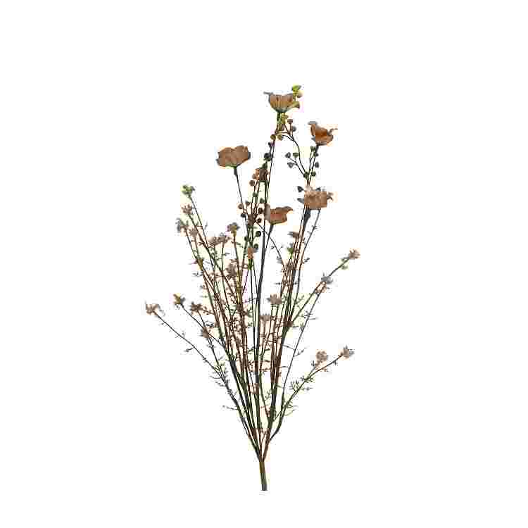 Seco  amapola marron 