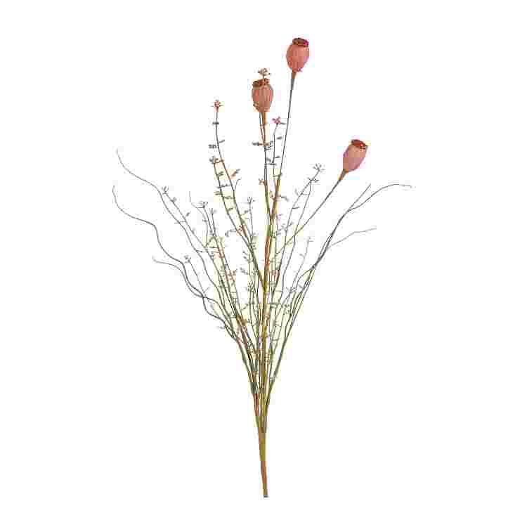 Seco amapola rosa 