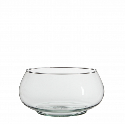 Tigo tarrina Transparente en giftbox Cristal