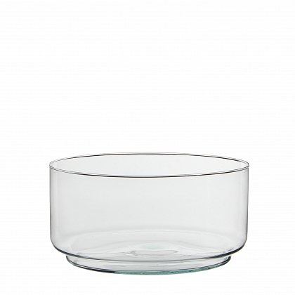 Tigo tarrina Transparente en giftbox Cristal