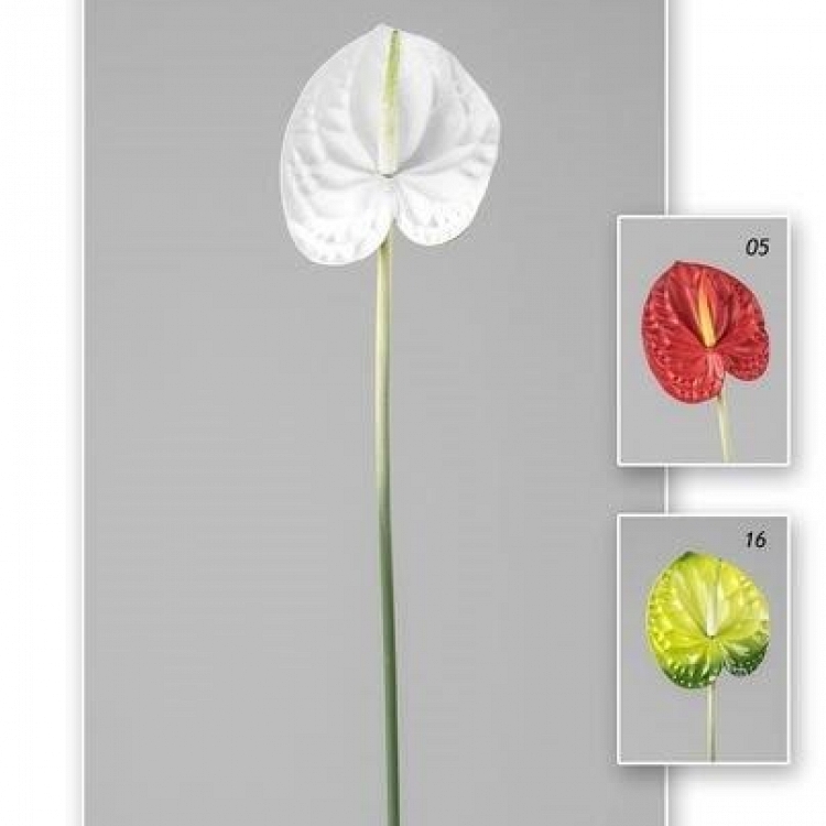 Vara anthurium 78 cm
