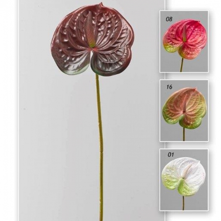 Vara anthurium  real pequeño 65 cm.