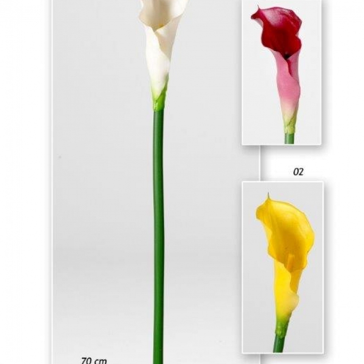 Vara cala   70 cm.