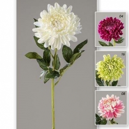 Vara chrysantemum satin 81 cm.