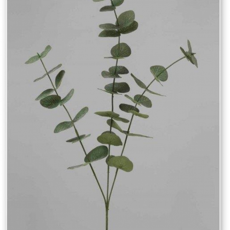 Vara eucaliptus x 3  80 cm.