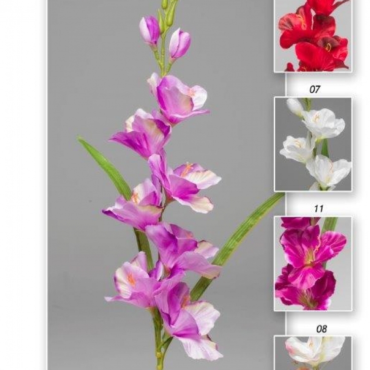 Vara gladiolo x 7 78 cm.