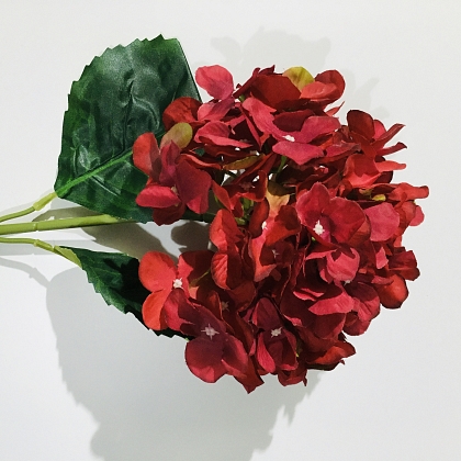 Vara hortensia diam cabeza 22cm