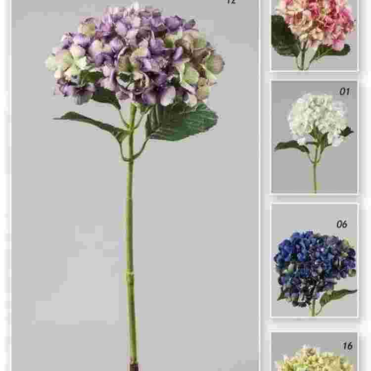 Vara hortensia garden  75 cm.