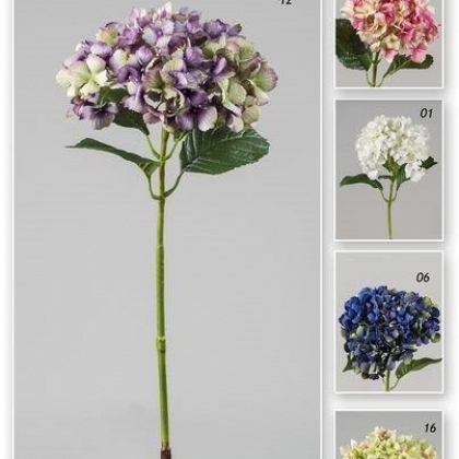 Vara hortensia garden 75 cm.