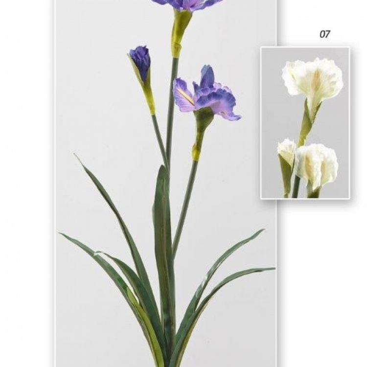 Vara iris x 3 68 cm.