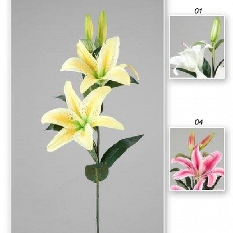 Vara lilium  85 cm.