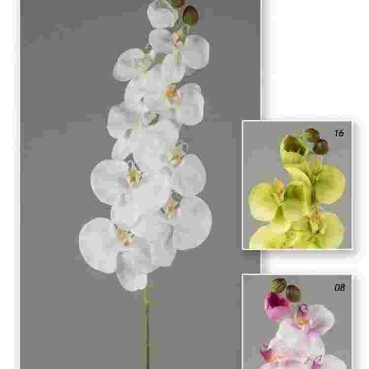 Vara orchid garden 97 cm