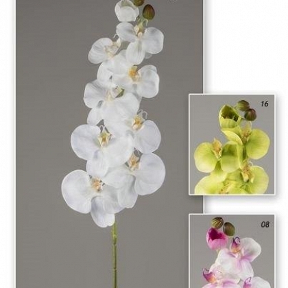 Vara orchid garden 97 cm
