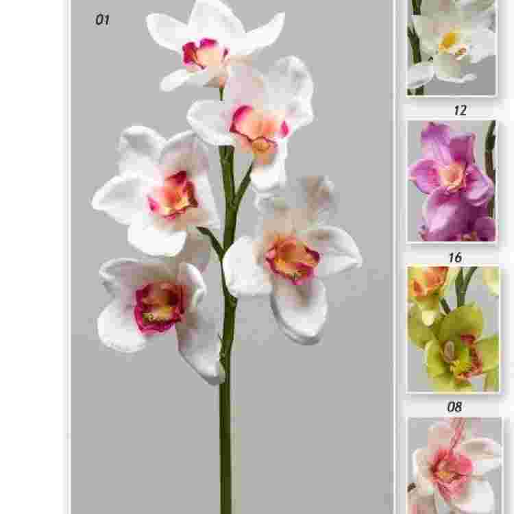 Vara orquidea cymbidium